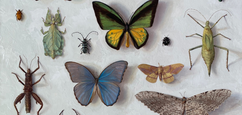 Upcoming: 102nd Annual Spring Salon!|April 26 - July 3, 2026